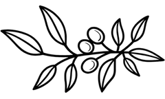 Epiflora botanical logo with leafy branch and berries